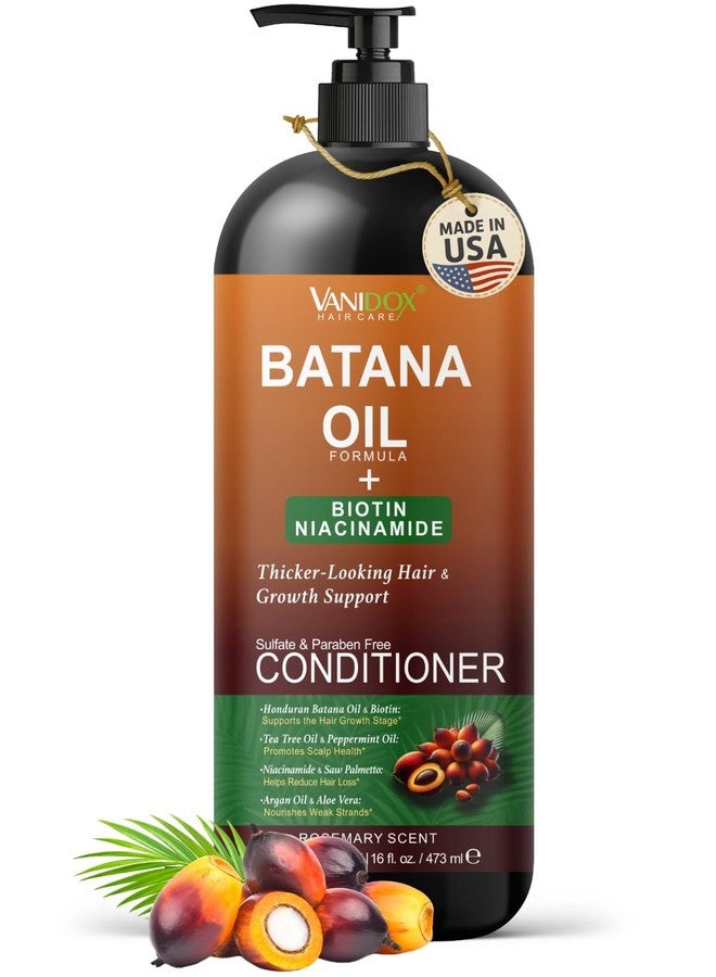 VANIDOX Batana Oil Shampoo – Biotin & Niacinamide Infused – Supports Thicker-Looking Hair – Moisturizing & Nourishing for Thinning Hair and Scalp Care – Sulfate-Free, 16 fl oz - Image 1
